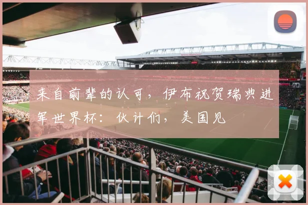 来自前辈的认可，伊布祝贺瑞典进军世界杯：伙计们，美国见
